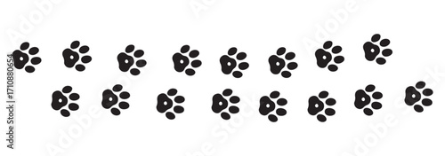 Vector paw trail of animal footprint. Dog, cat, puppy, fox, wolf tracks isolated on white background. Animal tracks in silhouette. Wild animal footsteps
