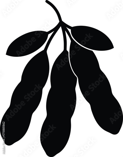 vector illustration of pear