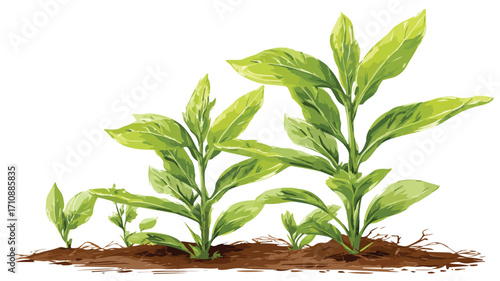 Vibrant Isolated Young Plants Vector Illustration