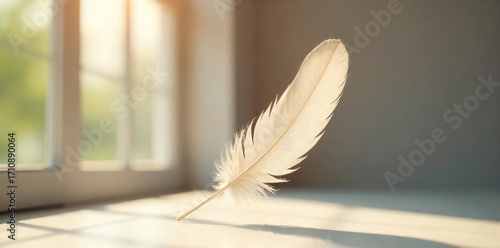 A single, delicate feather floats gently in a sunlit room, creating a serene and airy atmosphere  Perfect for home decor, minimalist design, and nature-inspired projects ,  studio shot,  macro