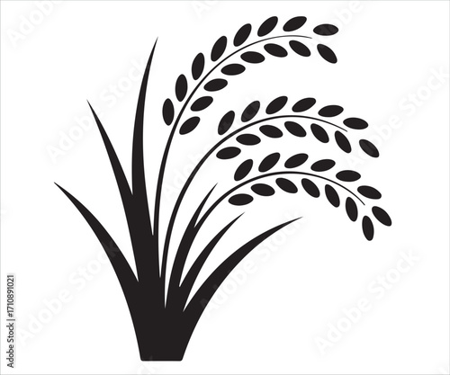 Rice plant silhouette with stalks and grains isolated on white background, agriculture farming vector illustration, organic food graphic design, crop harvest symbol icon for nutrition, diet, and natur
