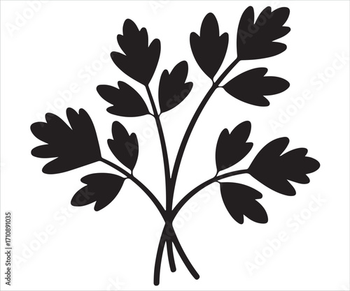 Parsley herb silhouette isolated culinary seasoning vector illustration