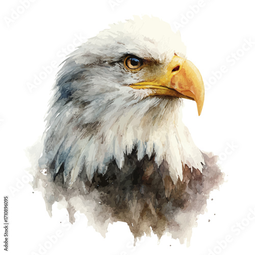 Eagle in watercolor style, vector illustration, isolated on white background.