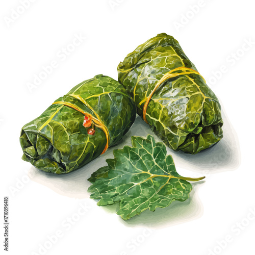 Dolma Stuffed Grape Leaves in watercolor style, vector illustration, isolated on white background.