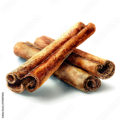 Cinnamon in watercolor style, vector illustration, isolated on white background.