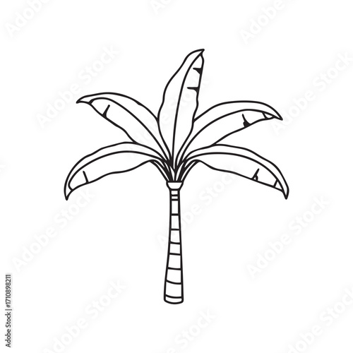 A beautiful hand-drawn vector illustration of a lily of the valley branch with fresh green leaves, symbolizing new life and spring growth