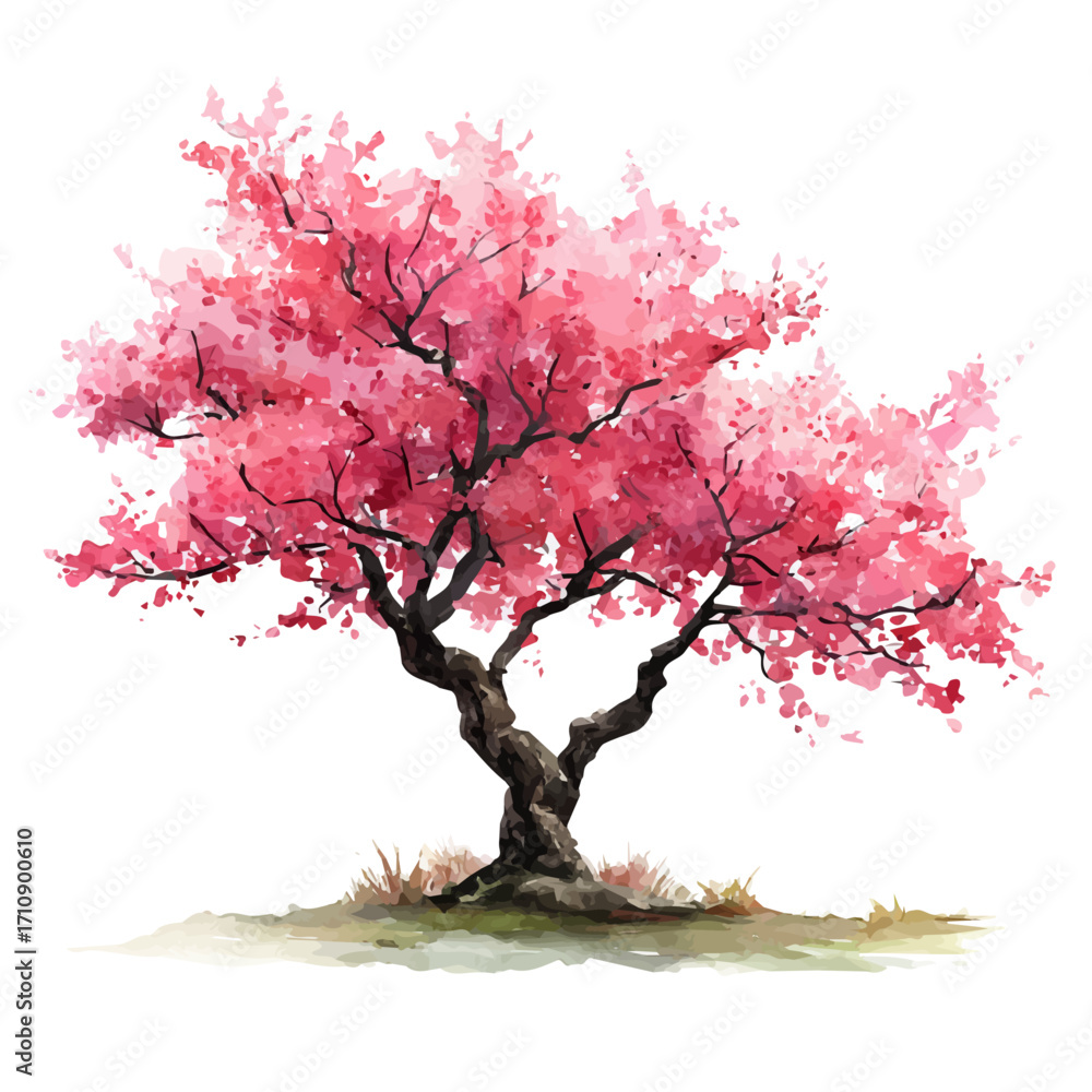 Fototapeta premium A watercolor painting of Japanese Cherry Blossom Tree, vector illustration on white background.