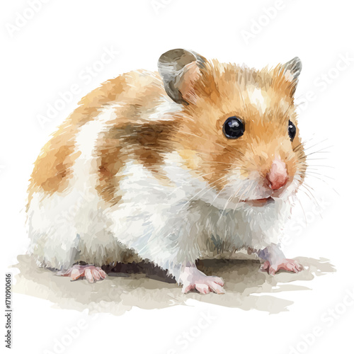A watercolor painting of Hamster, vector illustration on white background.