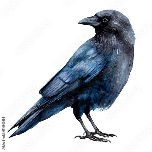 Crow, watercolor painting, vector illustration, isolated on a white background.