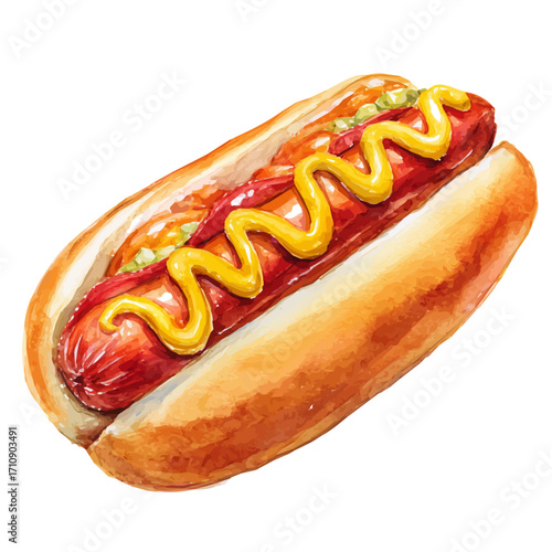 Hot Dog, watercolor painting, vector illustration, isolated on a white background.