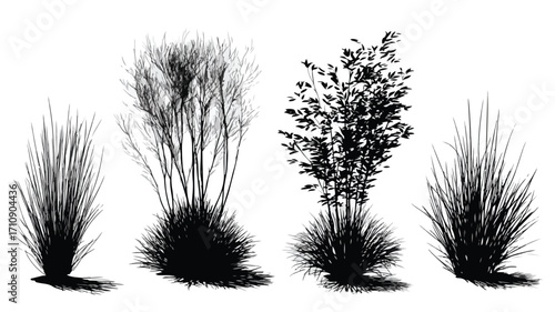 Professional Set of Bush, Grass, Shrub, Herb Silhouette Vector Illustration for Design