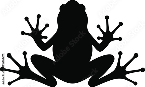 Black silhouette of a tree frog or toad with splayed limbs, detailed vector illustration of an amphibian on a white background, isolated.