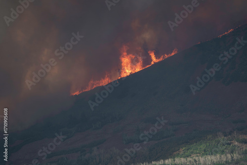Flames, Smoke, and a Charred Landscape Surround Homes