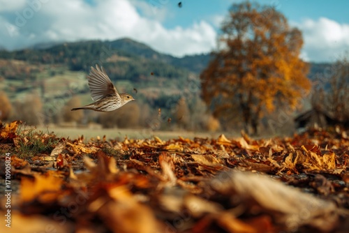 Brown bird with a small beak and black feathers in the forest grass