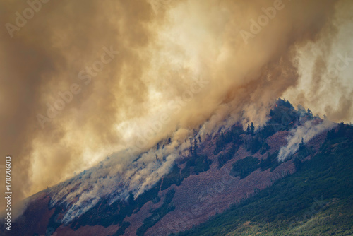 Wildfire, Flames, Smoke, and a Charred Landscape 