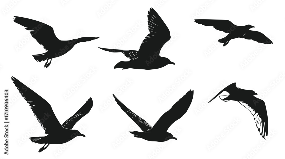 Fototapeta premium Majestic Sea Gull Flying Silhouette Vector Set for Creative Designs
