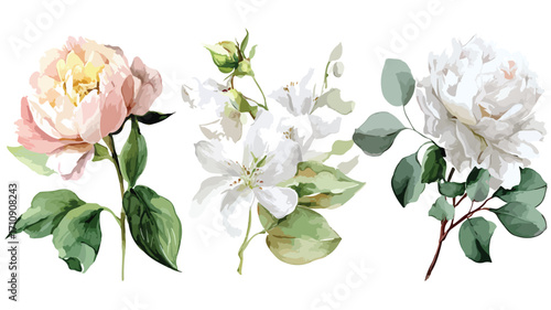 Elegant Watercolor Peony Rose Floral Elements Collection