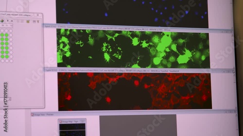 Close-up detailed view of a scientist using a computer to examine microscopy data from a laboratory machine, highlighting red and green structures — perfect for themes of research, science, analysis, 