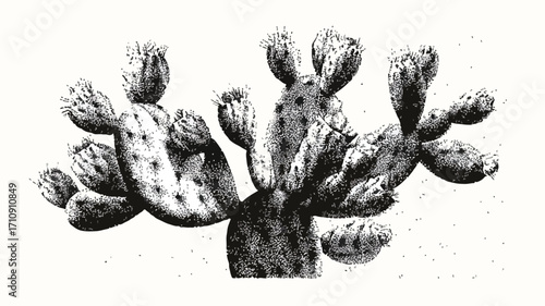 Botanical Stippling Cactus Art with Desert Sun - Professional Adobe Stock Photo