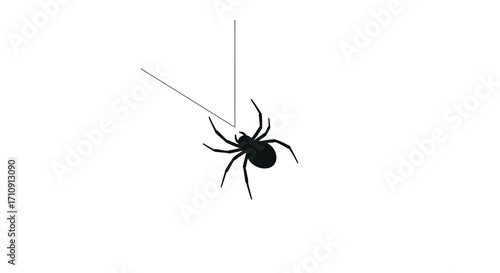 Minimalist black spider silhouette dangling on web against white background