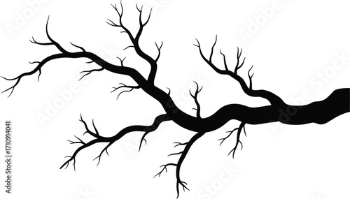 Black bare tree branch silhouette with small twigs, great for nature, spooky, winter, or Halloween design projects, on a white background.