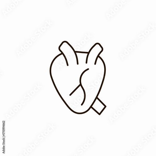 human heart diagram icon sign vector