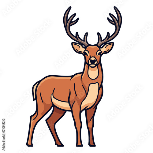 Deer