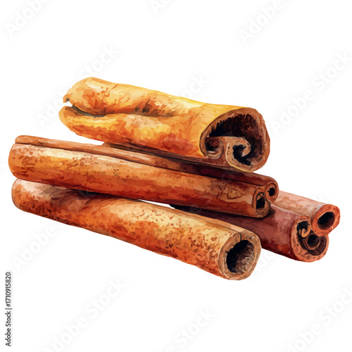 Watercolor vector illustration of Cinnamon, isolated on white background.