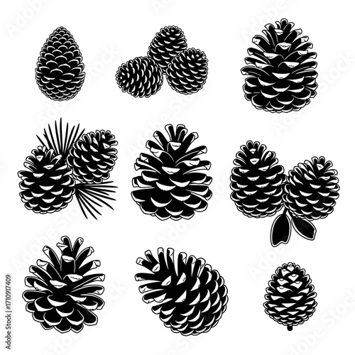 Vector art of collection of pine cones set of monochrome illustrations with coniferous tree cones in various arrangements