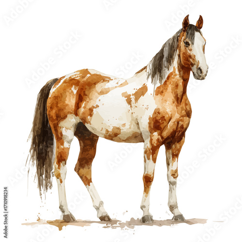 Horse in watercolor style, vector illustration, isolated on white background.