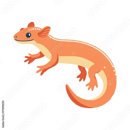 
salamander illustration design