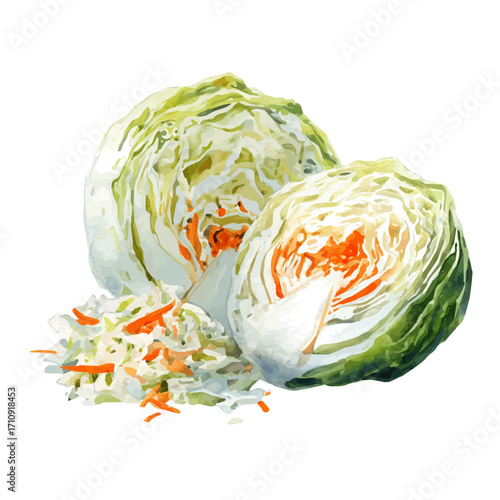 Coleslaw in watercolor style, vector illustration, isolated on white background.
