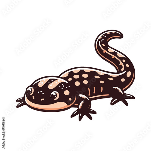 
salamander illustration design