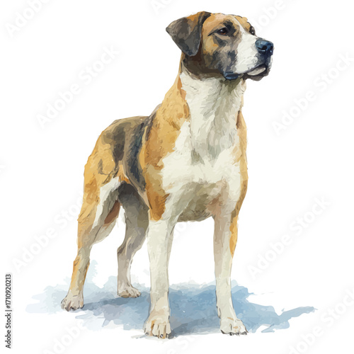 Watercolor vector illustration of Farm Dog, isolated on white background.