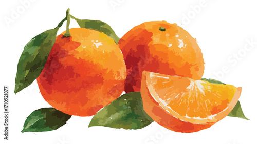 Vintage Watercolor Orange Fruit Isolated on White Background