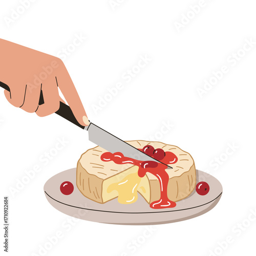 Hand cutting into baked brie with cranberry glaze in minimalist flat vector illustration with gooey center and cozy culinary mood on light background