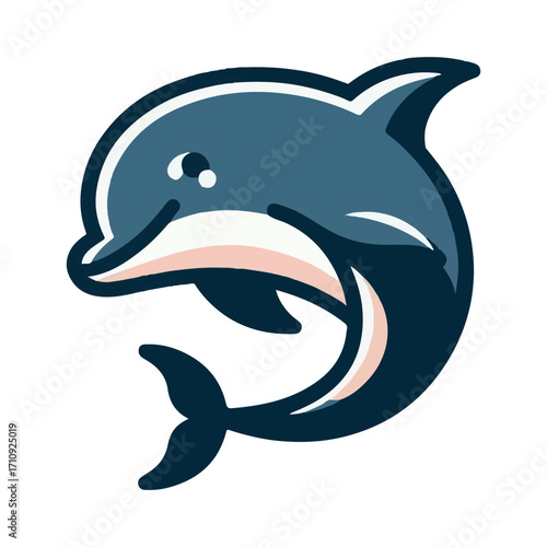 dolphin illustration design