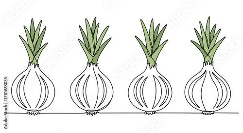 Simple sketch illustration of four white onions with green tops