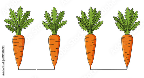 Four vibrant orange carrots with green leafy tops displayed in a row