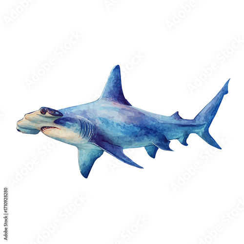 Watercolor vector illustration of Hammerhead Shark, isolated on white background.