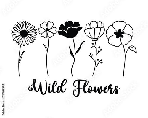 wild flowers line art 