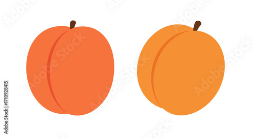 Two vibrant orange apricots displayed with stems a simple fruit illustration