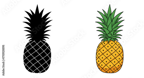 Two pineapple illustrations showcase contrasting styles of color and shading