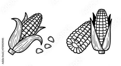 Detailed black and white illustration of corn cobs and scattered kernels