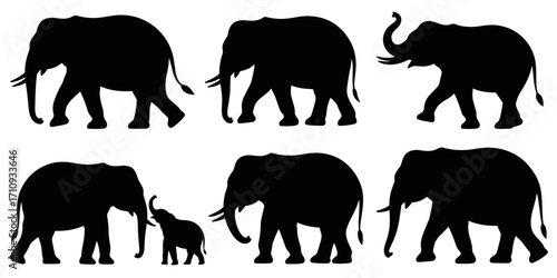 Vector illustration of elephant silhouettes in different poses
