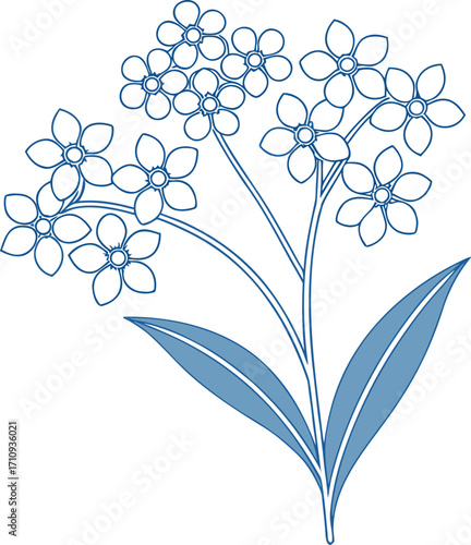 Blue Outline of Forget- Me- Not Flowers with Leaves on White Background forget-me-not