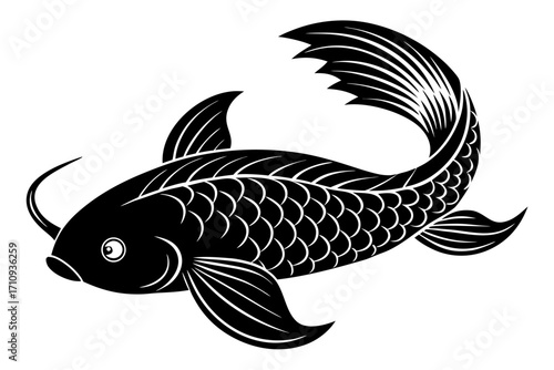 Koi Fish vector art