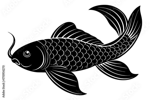 Koi Fish vector art
