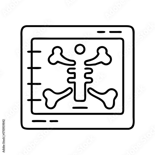 Vector art of xray of bones a medical image showing the skeletal structure for diagnosis and examination of injuries