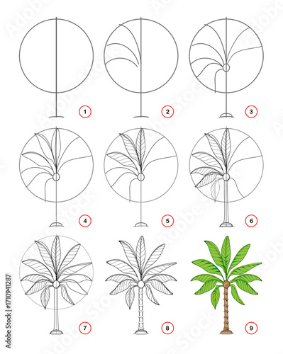 Page shows how to draw step by step a decorative palm tree. Developing children skills for drawing and coloring. Printable worksheet for kids school exercise book. Flat vector illustration.